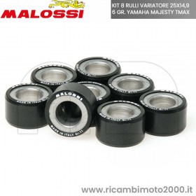 MALOSSI 6613561R0